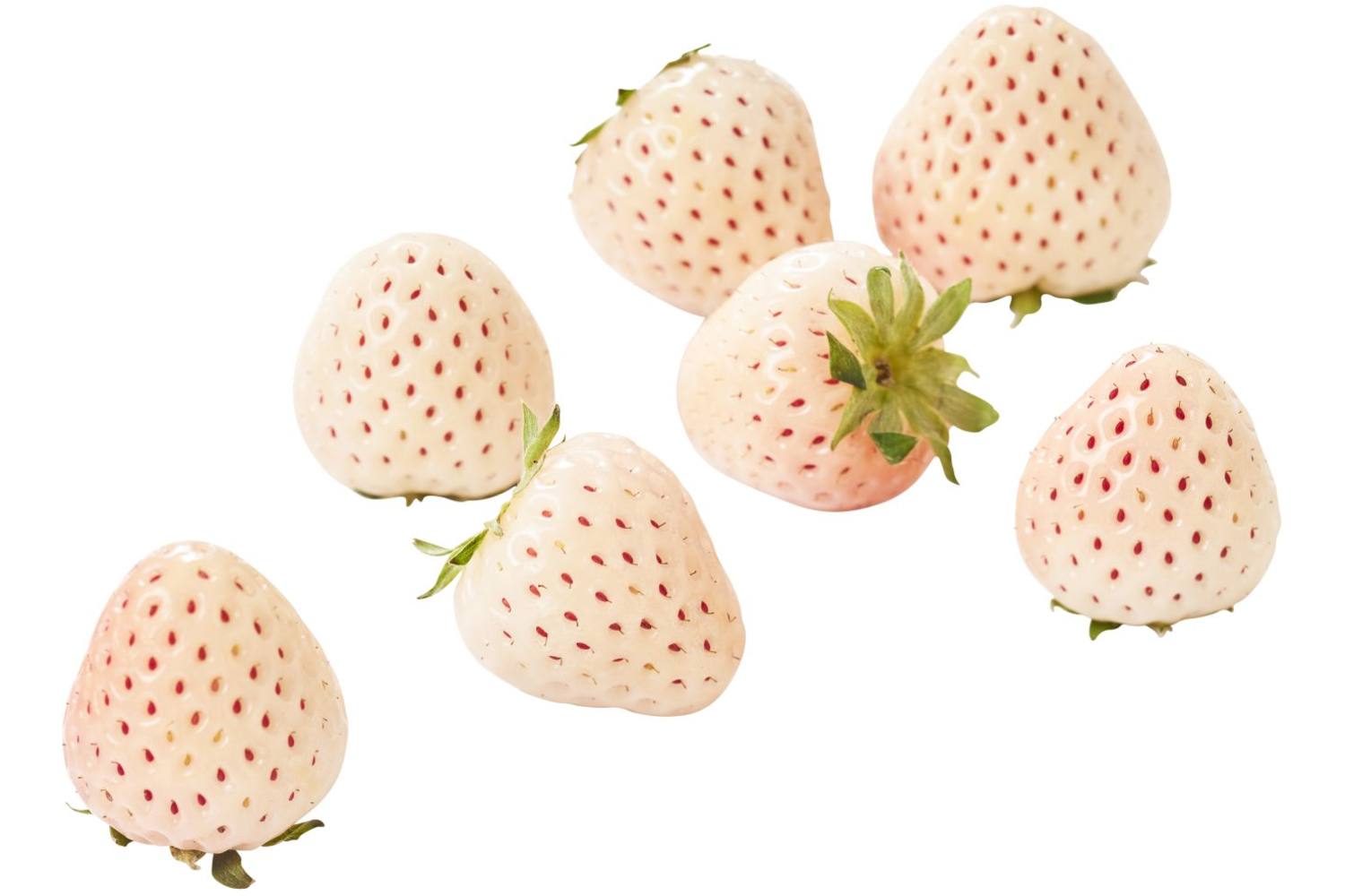 Whiteberry aardbeien 100gr. kist 12 stuks 1